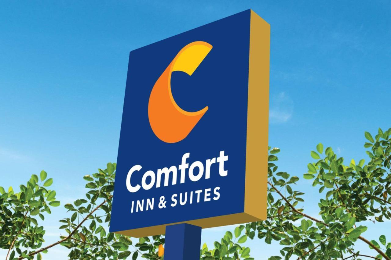 Comfort Inn & Suites Texas City Exterior foto